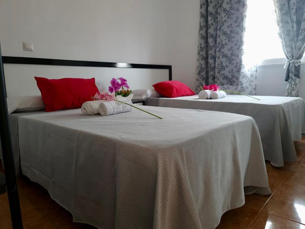 Franmay Apartments - 7 Modern Apartments Near The Beach & City, Perfect For Nomads, Travellers, Families, Watersports! サンタ・マリア エクステリア 写真